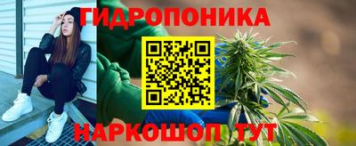 дмт Кинель
