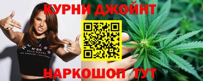 сатива Кингисепп