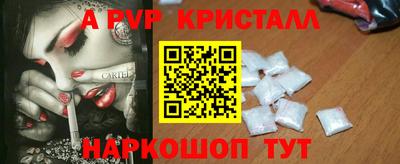сатива Кингисепп