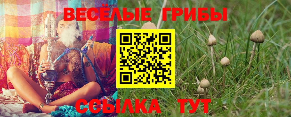Псилоцибиновые грибы MAGIC MUSHROOMS Холмск