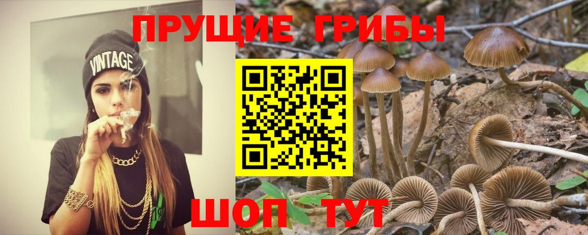 Холмск  Галлюциногенные грибы Magic Shrooms  Вход с VPN 